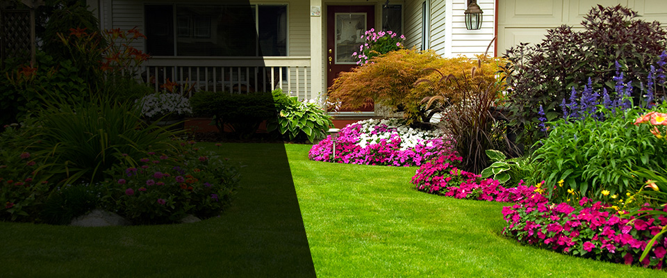 Pearland Landscapers